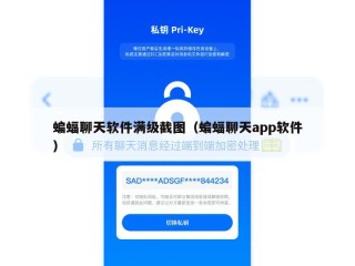 蝙蝠聊天软件满级截图（蝙蝠聊天app软件）
