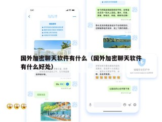 国外加密聊天软件有什么（国外加密聊天软件有什么好处）