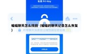 蝙蝠聊天怎么找回（蝙蝠的聊天记录怎么恢复）