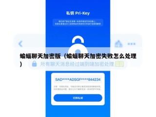蝙蝠聊天加密版（蝙蝠聊天加密失败怎么处理）