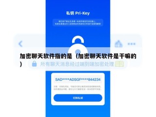 加密聊天软件指的是（加密聊天软件是干嘛的）