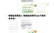 蝙蝠加密聊天a（蝙蝠加密聊天app下载安卓手机）