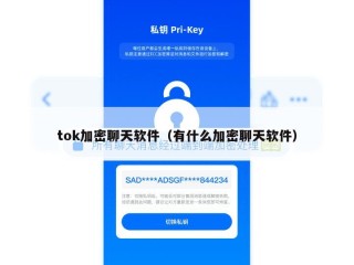 tok加密聊天软件（有什么加密聊天软件）