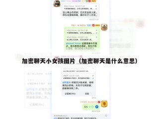 加密聊天小女孩图片（加密聊天是什么意思）