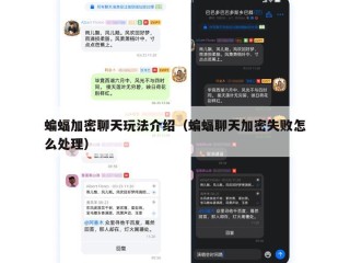蝙蝠加密聊天玩法介绍（蝙蝠聊天加密失败怎么处理）