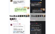 tim怎么设置聊天加密（tim设置聊天背景图片）