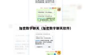 加密数字聊天（加密数字聊天软件）