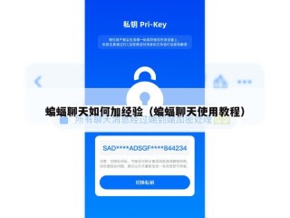 蝙蝠聊天如何加经验（蝙蝠聊天使用教程）