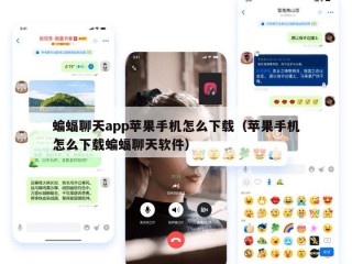 蝙蝠聊天app苹果手机怎么下载（苹果手机怎么下载蝙蝠聊天软件）