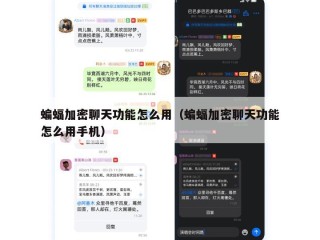蝙蝠加密聊天功能怎么用（蝙蝠加密聊天功能怎么用手机）