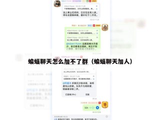 蝙蝠聊天怎么加不了群（蝙蝠聊天加人）