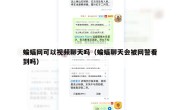 蝙蝠网可以视频聊天吗（蝙蝠聊天会被网警看到吗）