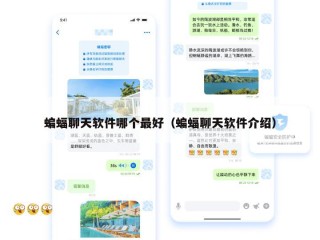蝙蝠聊天软件哪个最好（蝙蝠聊天软件介绍）