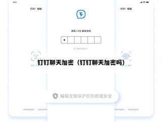 钉钉聊天加密（钉钉聊天加密吗）