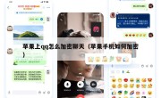 苹果上qq怎么加密聊天（苹果手机如何加密）