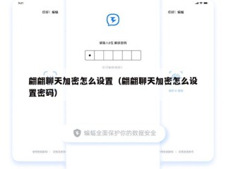 翩翩聊天加密怎么设置（翩翩聊天加密怎么设置密码）