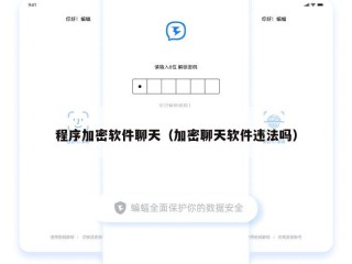 程序加密软件聊天（加密聊天软件违法吗）