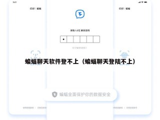 蝙蝠聊天软件登不上（蝙蝠聊天登陆不上）