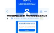 聊天语音加密怎么找（聊天语音加密怎么打开）