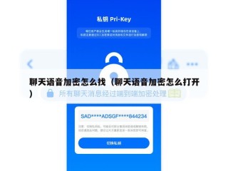 聊天语音加密怎么找（聊天语音加密怎么打开）