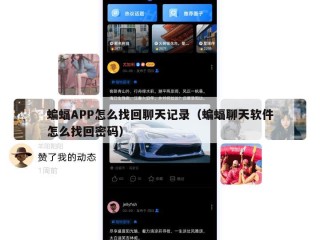 蝙蝠APP怎么找回聊天记录（蝙蝠聊天软件怎么找回密码）
