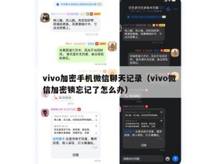 vivo加密手机微信聊天记录（vivo微信加密锁忘记了怎么办）
