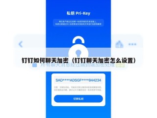 钉钉如何聊天加密（钉钉聊天加密怎么设置）