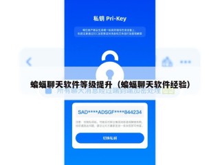 蝙蝠聊天软件等级提升（蝙蝠聊天软件经验）