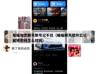 蝙蝠加密聊天账号记不住（蝙蝠聊天软件忘记解锁密码怎么找回）