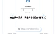 安全共享系统（安全共享性怎么开不了）