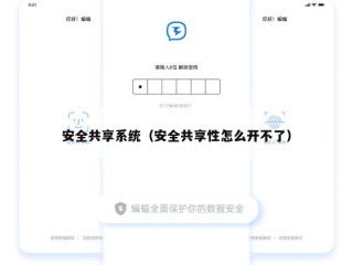 安全共享系统（安全共享性怎么开不了）