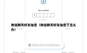 微信聊天好友加密（微信聊天好友加密了怎么办）