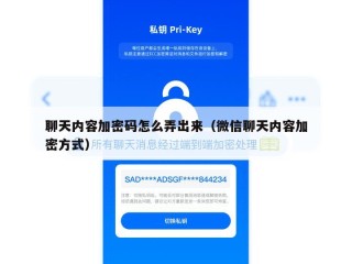 聊天内容加密码怎么弄出来（微信聊天内容加密方式）