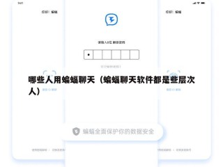 哪些人用蝙蝠聊天（蝙蝠聊天软件都是些层次人）