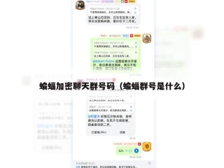 蝙蝠加密聊天群号码（蝙蝠群号是什么）