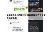 蝙蝠聊天怎么切换中文（蝙蝠聊天软件怎么撤回全部信息）