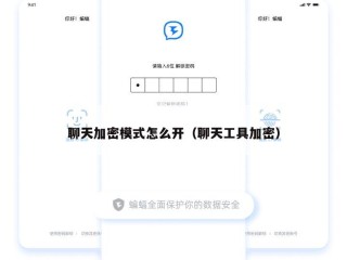 聊天加密模式怎么开（聊天工具加密）