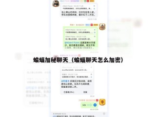 蝙蝠加秘聊天（蝙蝠聊天怎么加密）