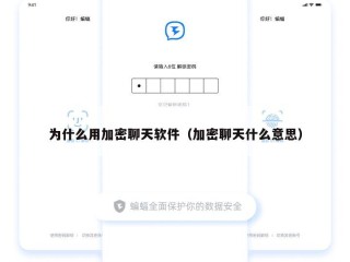 为什么用加密聊天软件（加密聊天什么意思）
