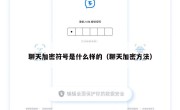 聊天加密符号是什么样的（聊天加密方法）