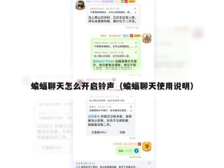 蝙蝠聊天怎么开启铃声（蝙蝠聊天使用说明）
