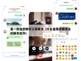 是一款加密聊天工具英文（什么是加密最安全的聊天软件）