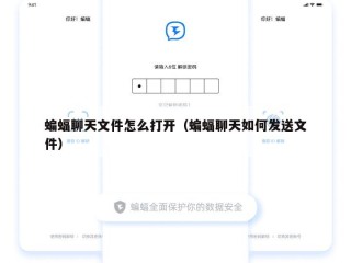 蝙蝠聊天文件怎么打开（蝙蝠聊天如何发送文件）
