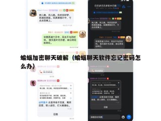 蝙蝠加密聊天破解（蝙蝠聊天软件忘记密码怎么办）