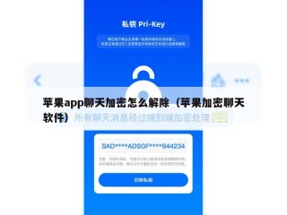 苹果app聊天加密怎么解除（苹果加密聊天软件）