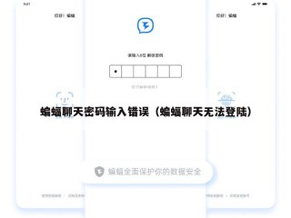 蝙蝠聊天密码输入错误（蝙蝠聊天无法登陆）