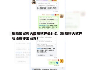 蝙蝠加密聊天应用软件是什么（蝙蝠聊天软件暗语在哪里设置）