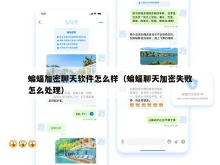 蝙蝠加密聊天软件怎么样（蝙蝠聊天加密失败怎么处理）