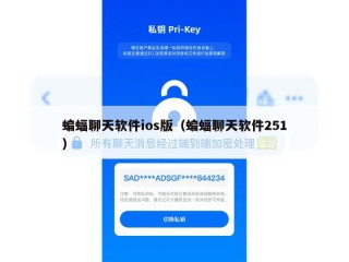 蝙蝠聊天软件ios版（蝙蝠聊天软件251）