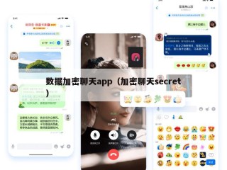 数据加密聊天app（加密聊天secret）